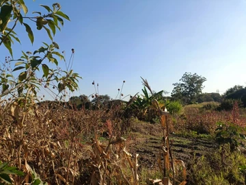 Commercial & Industrial Land