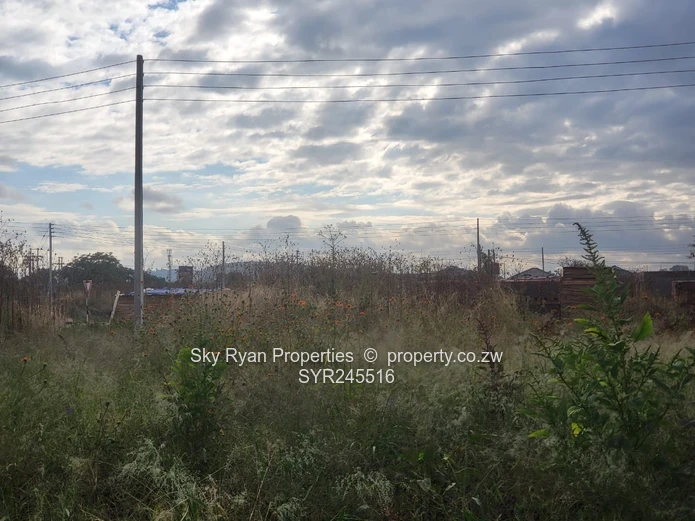 Aspindale Stand  For Sale 