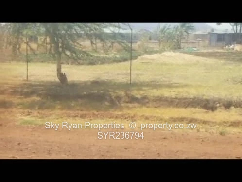 Norton Galloway Stand For Sale 