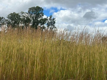 Commercial & Industrial Land