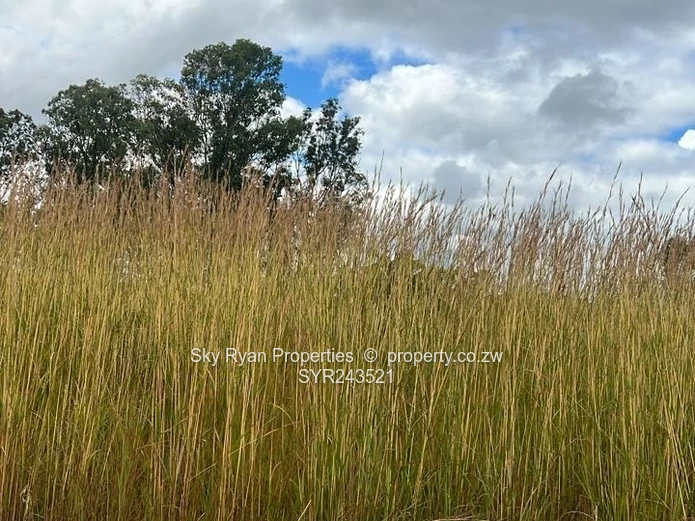 Cowfold Gweru Shopping Centre Stand For Sale