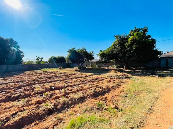 Stands & Residential Land