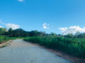 Borrowdale Quinington Land For Sale 