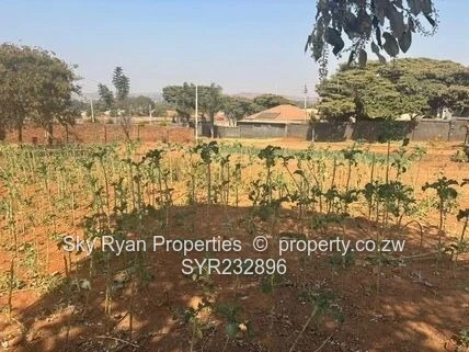 Tynwald Stand For Sale 