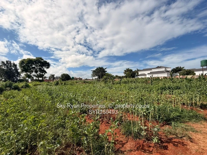 Westgate Stands For Sale- Choice Of 3 
