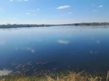 Farm & Agricultural Land