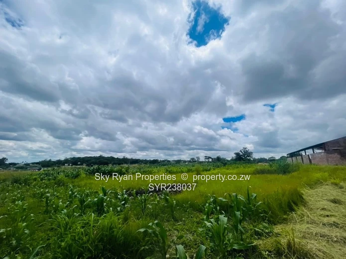 Westgate Area D Stand For Sale