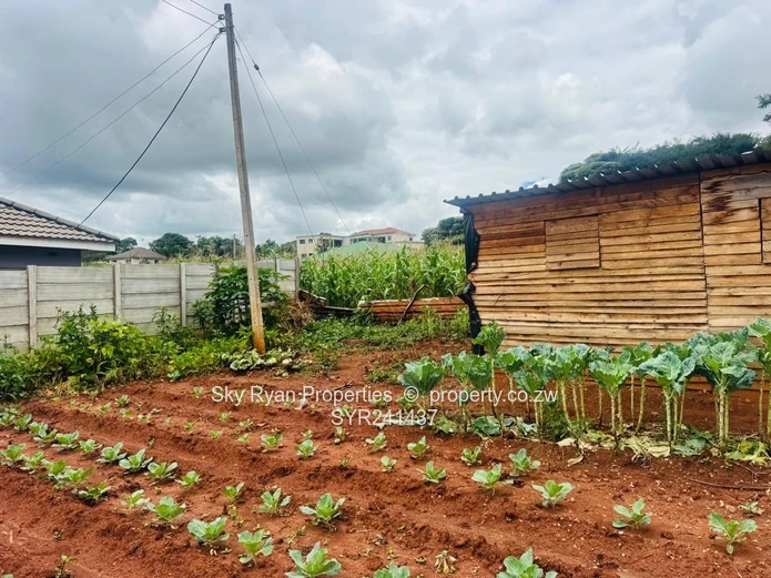 Glen Lorne  Stand For Sale