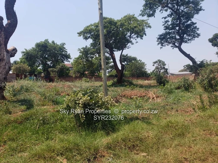 Gletwin Stand For Sale