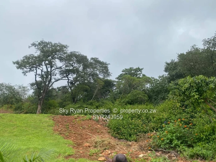 Queensdale Stand For Sale