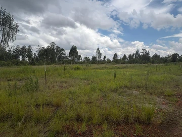 Commercial & Industrial Land