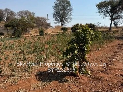 Tynwald Stand For Sale 