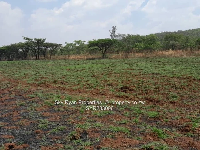 Arcturus Plot For Sale