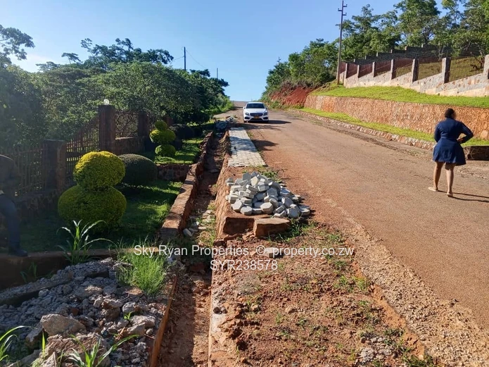 Carrick Creagh Stands  For Sale