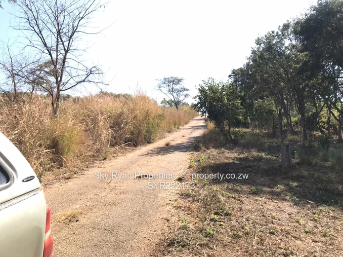 Arcturus plot for sale!*