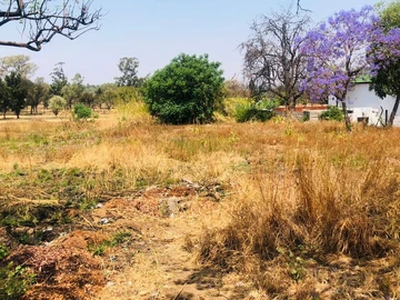 Commercial & Industrial Land