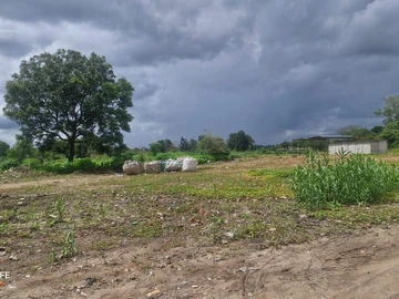 Commercial & Industrial Land