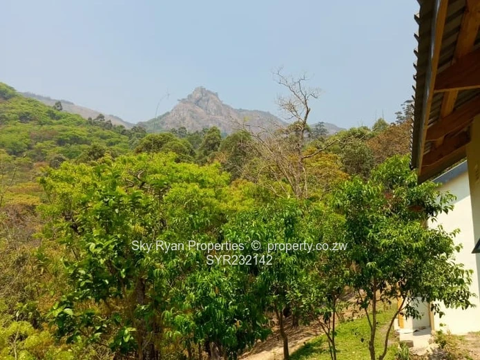 Investment opportunity in Vumba