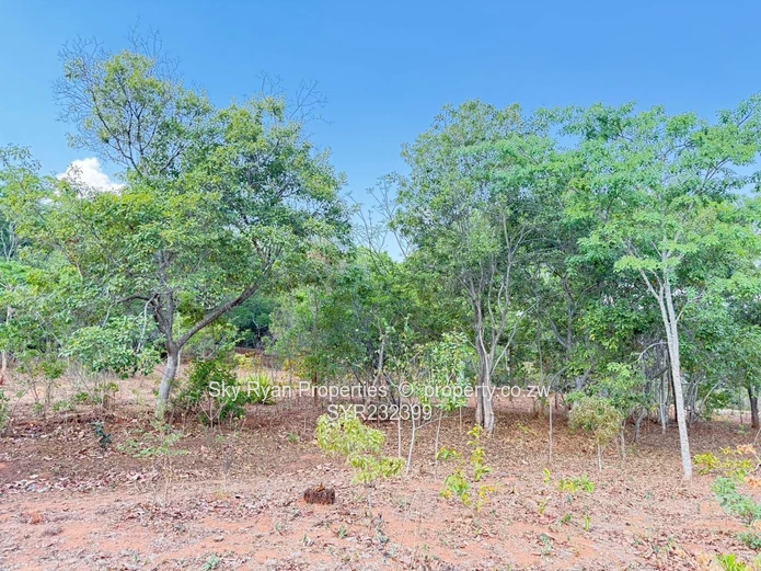 Borrowdale Luna Stand For Sale