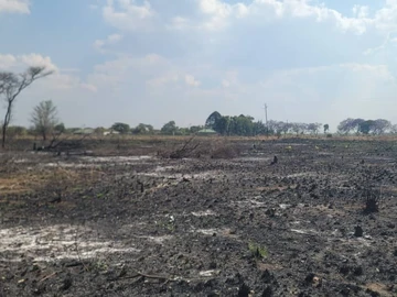 Commercial & Industrial Land