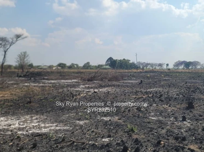 Daylesford, Gweru Stands For Sale