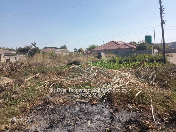 Stand For Sale – Chipukutu