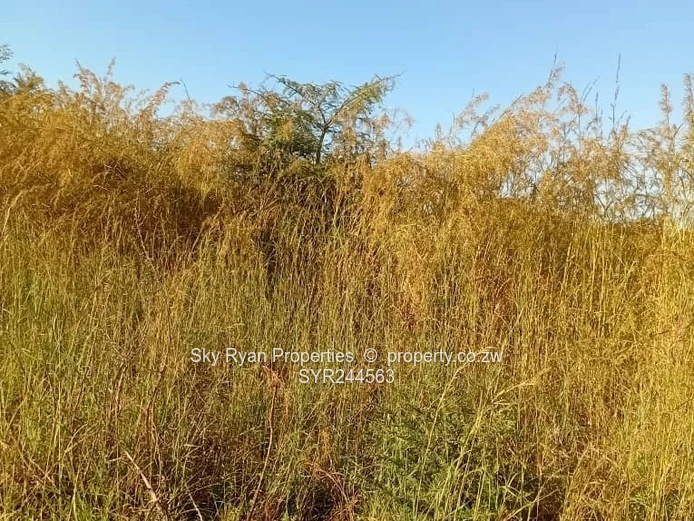 Acturus Of Cromlet Plots For Sale 