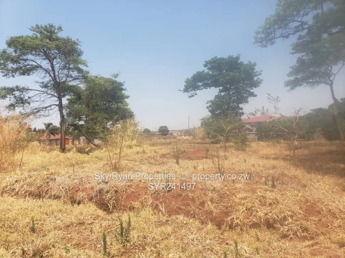 Gletwin Stand For Sale