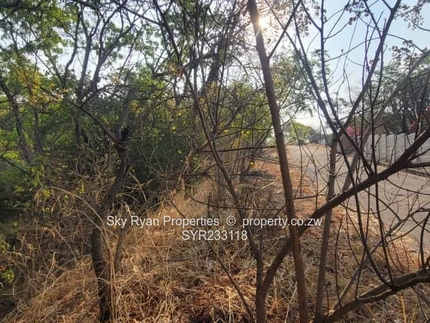 Glen Lorne  Stand For Sale