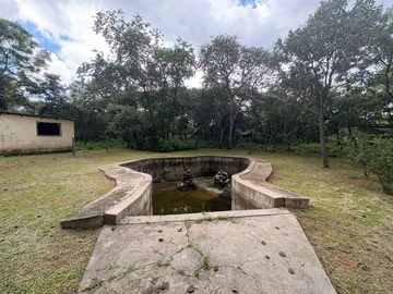 Farm & Agricultural Land