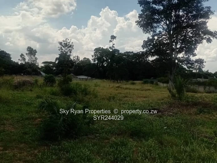 Hatfield Stand For Sale