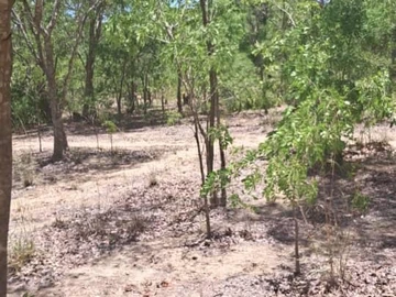 Farm & Agricultural Land