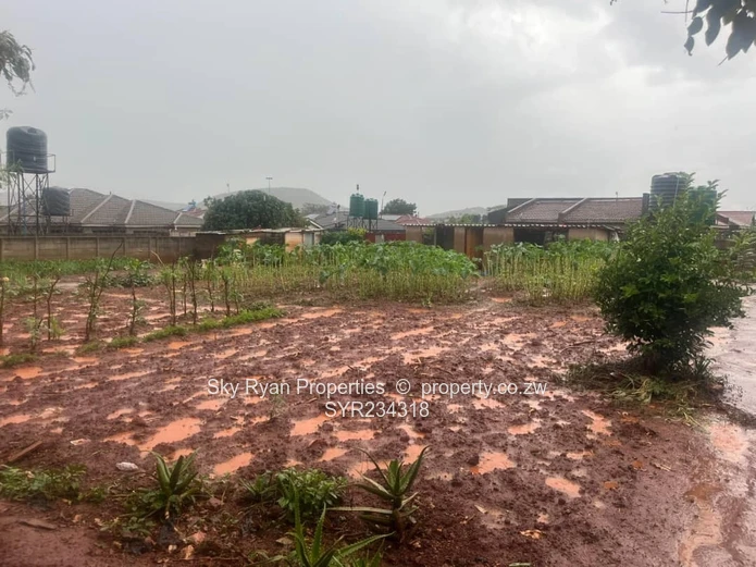 Cold Comfort Stand For Sale