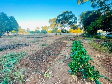 Stands & Residential Land