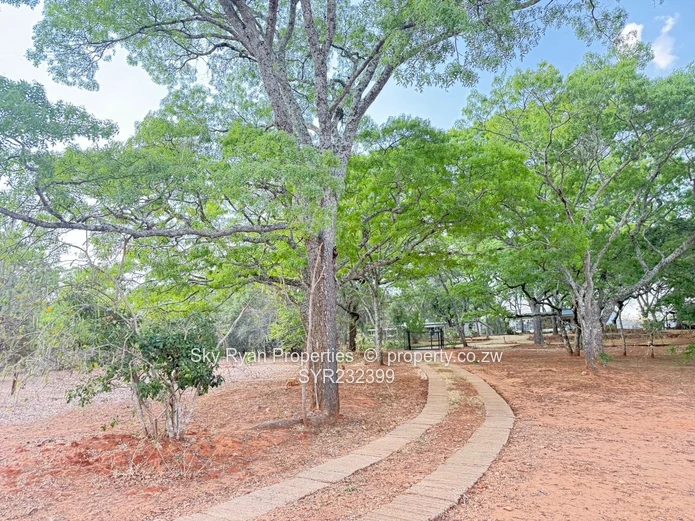 Borrowdale Luna Stand For Sale