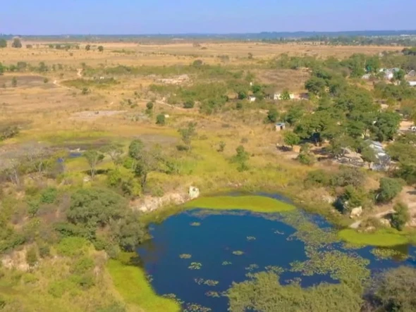 Farm & Agricultural Land