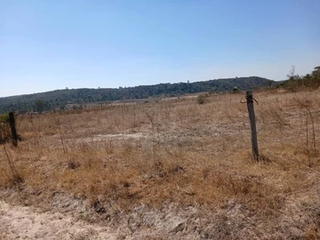 Farm & Agricultural Land