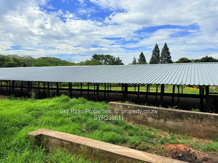 Umwinsidale Property For Sale