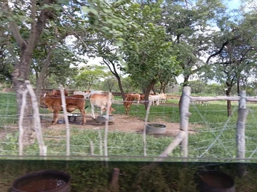 Farm & Agricultural Land