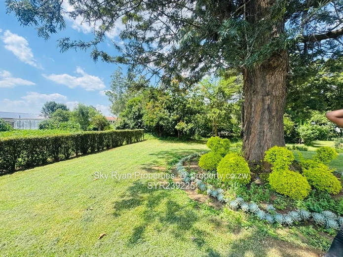 Mount Pleasant Stand For Sale