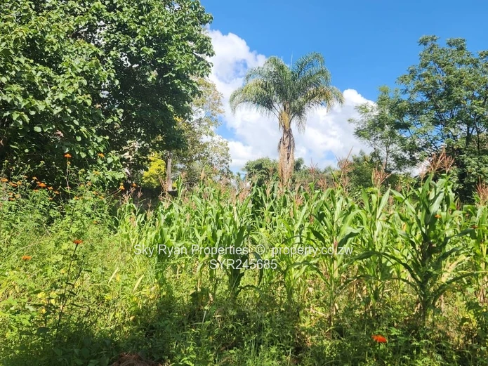 Greystone Park Property For Sale 