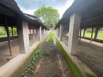 Farm & Agricultural Land