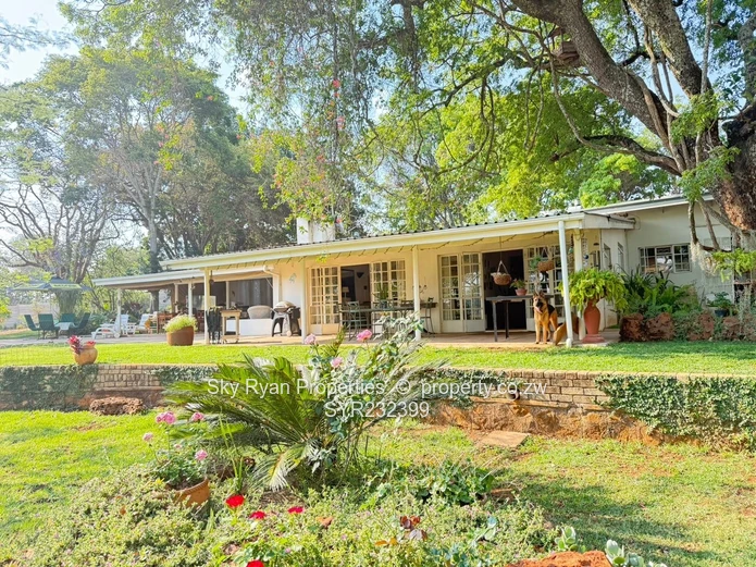 Borrowdale Luna Stand For Sale