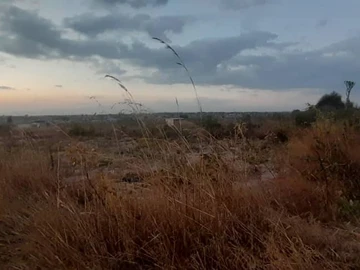 Land