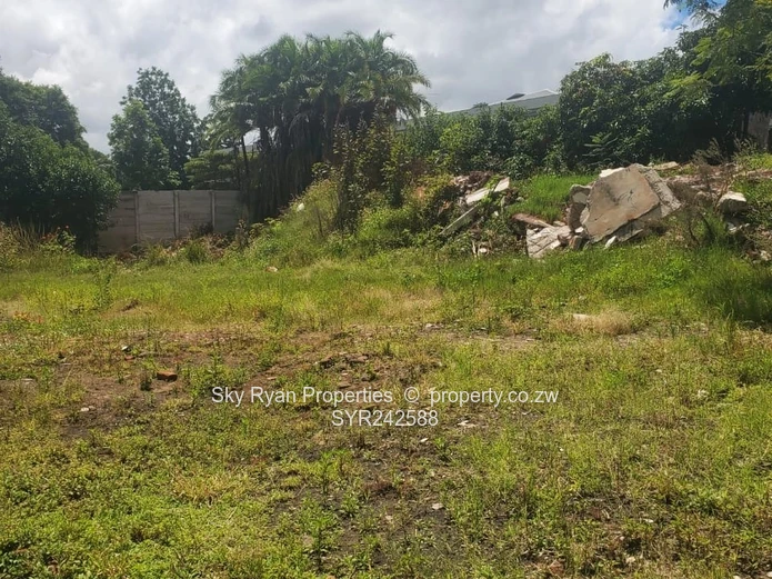 Avondale Stand For Sale