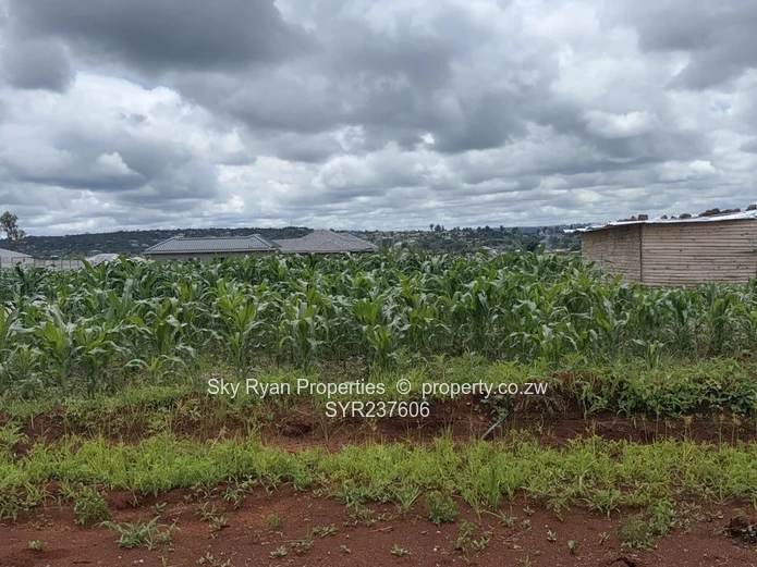 Crowhill Stands For Sale