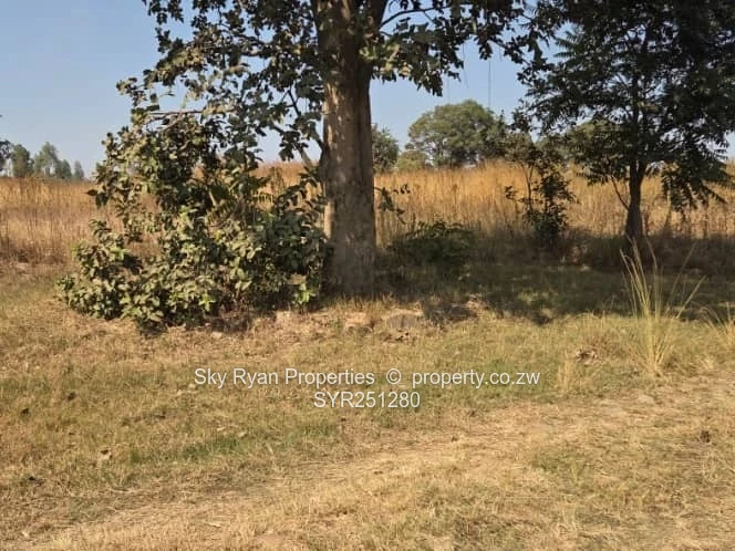 Spitzkop Plot For Sale