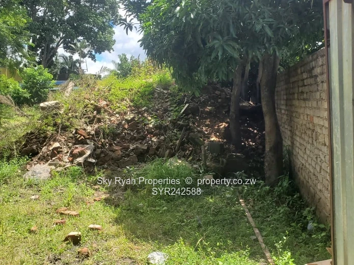 Avondale Stand For Sale