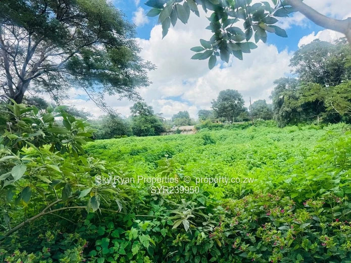 Mandara Land For Sale