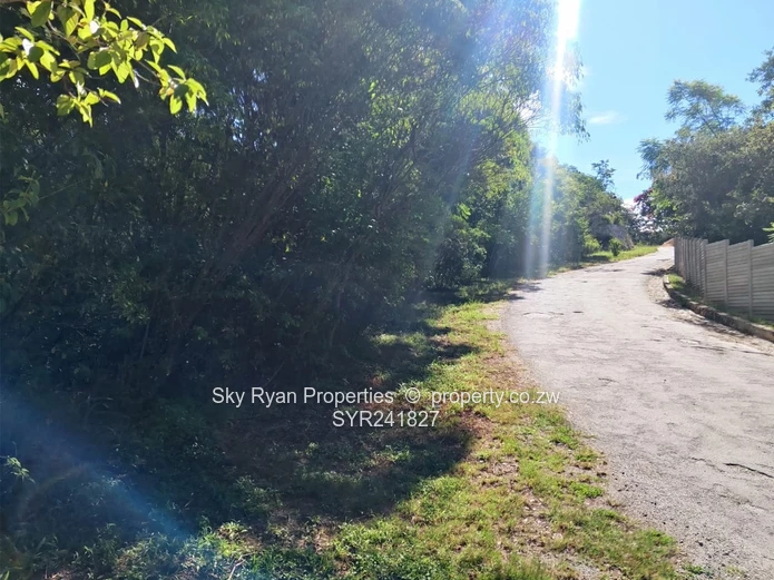 Glen Lorne  Stand For Sale